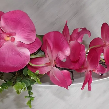 Дом отдыха Et 