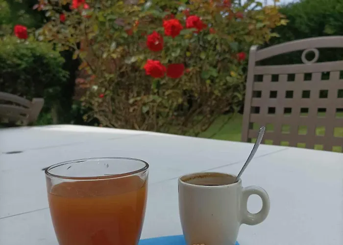 Et L'éclosion Des Papillons à 10 Kms De Lens Hébergement de vacances Courrieres